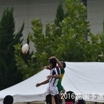 IMG_1187.JPG