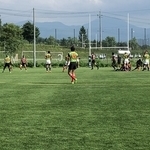 IMG_2868.JPG